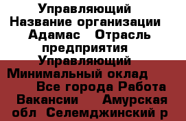 Управляющий › Название организации ­ Адамас › Отрасль предприятия ­ Управляющий › Минимальный оклад ­ 40 000 - Все города Работа » Вакансии   . Амурская обл.,Селемджинский р-н